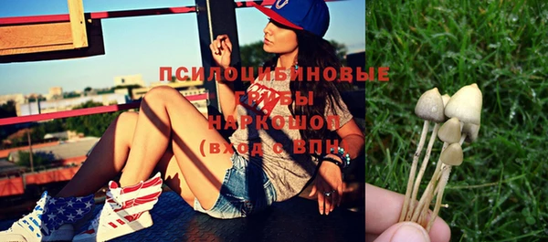 прущий лед Куйбышев